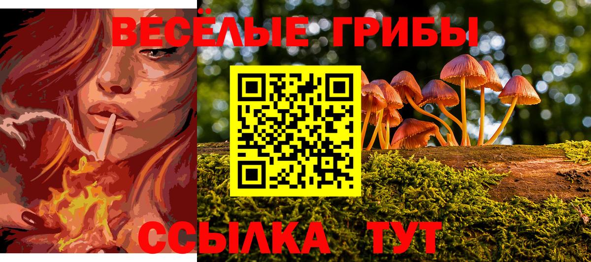 Галлюциногенные грибы мухоморы Чапаевск