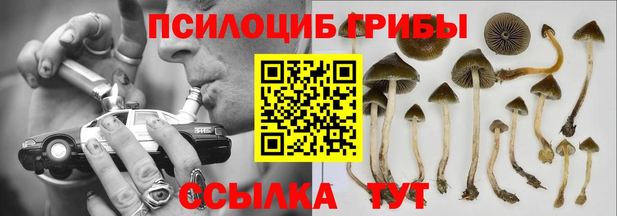 Псилоцибиновые грибы Magic Shrooms  Галлюциногенные грибы Magic Shrooms  Чапаевск  Вход с VPN 